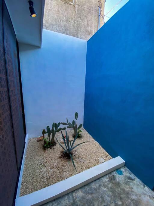 Modern Casa With Pool 7 Mins From Centro 5Min La Plancha Park Βίλα Mérida Εξωτερικό φωτογραφία